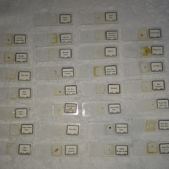 30 Microscope Slide Collection - Picture 1 of 9